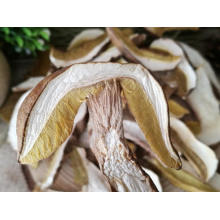 Dried Boletus Edulis, Porcini Mushroom From China